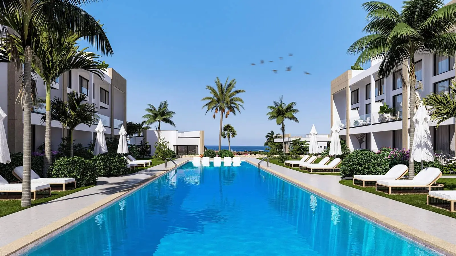 Cassia — view 1